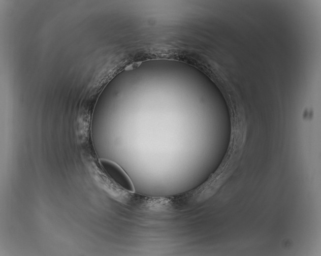 X0000113330576200909211223