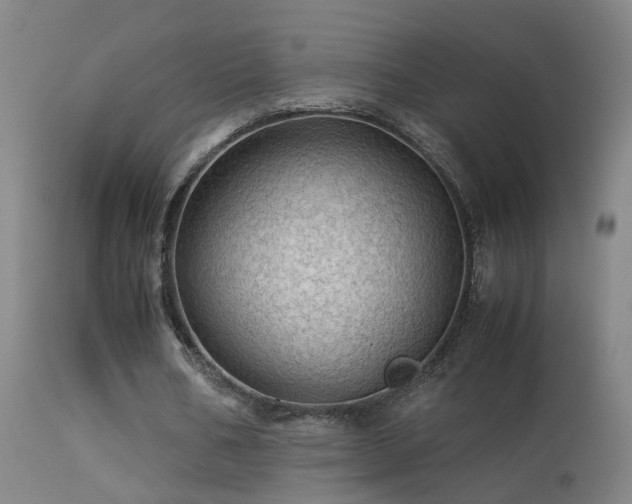X0000113330578200909211222