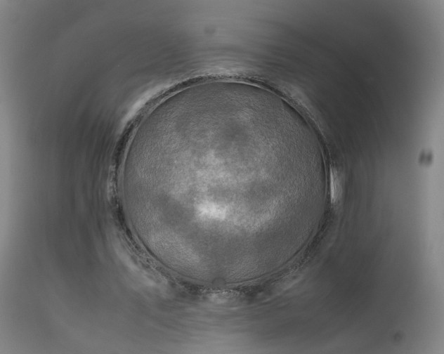 X0000113330579200909211222