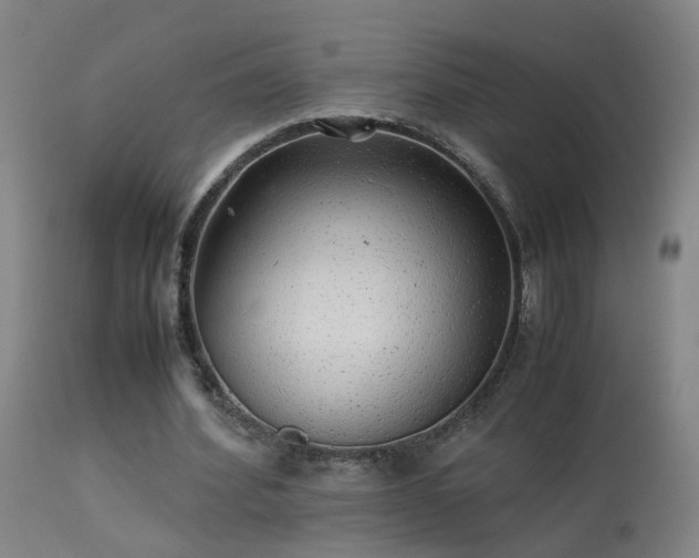 X0000113330580200909211222