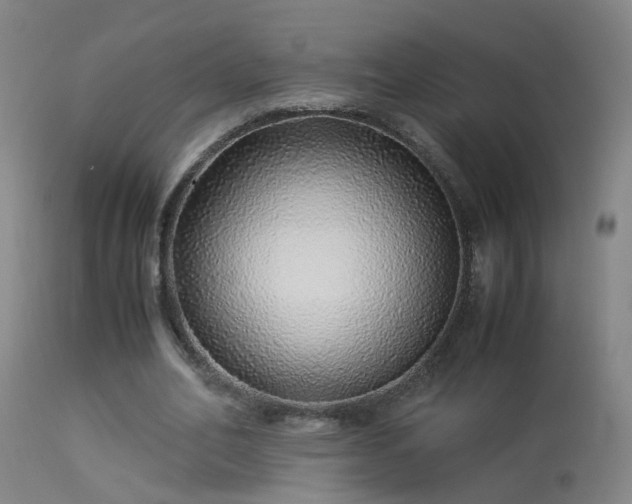 X0000113330582200909211222