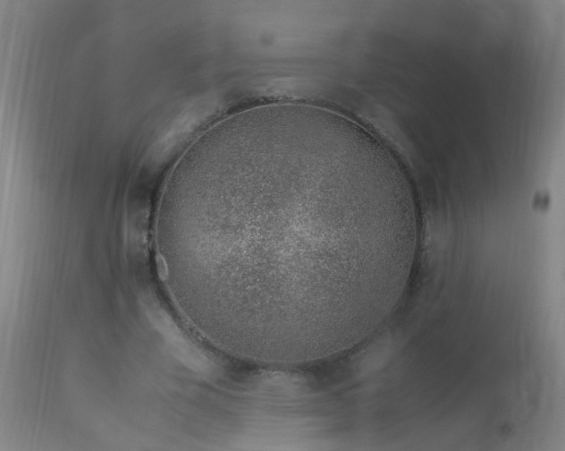 X0000113330585200909211222