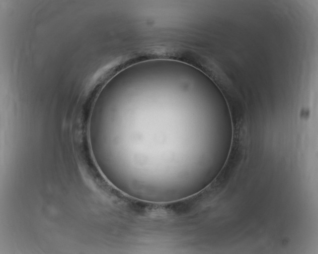 X0000113330587200909211222