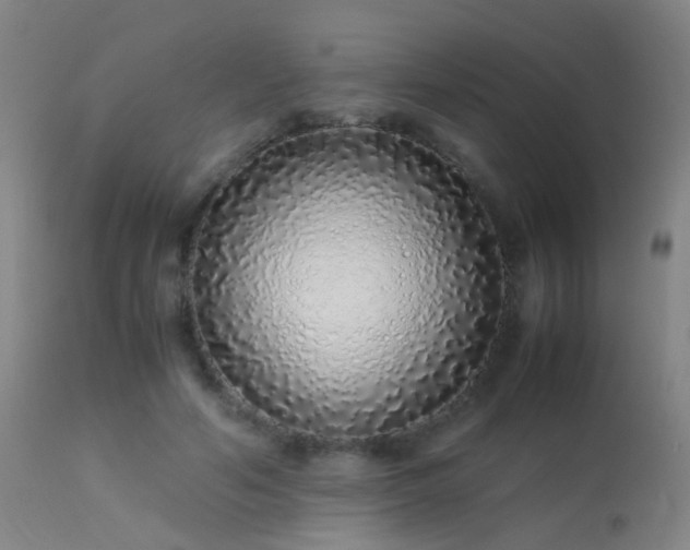 X0000113330594200909211222