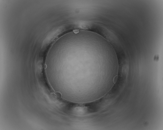 X0000113330595200909211222
