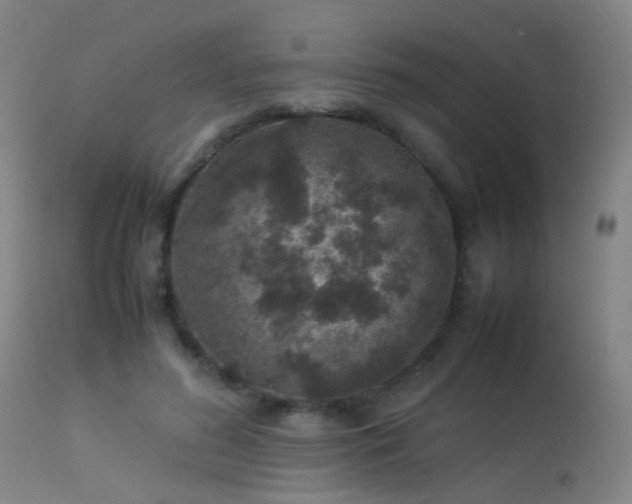 X0000113330596200909211222