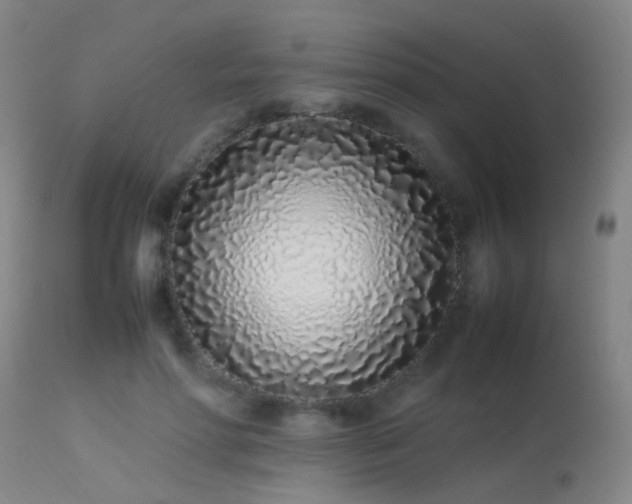 X0000113330598200909211222