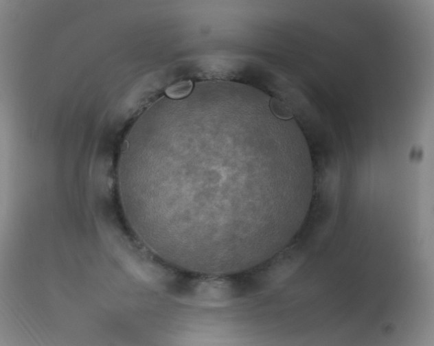 X0000113330599200909211222