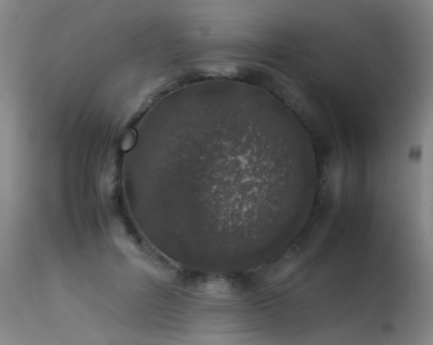 X0000113330600200909211222