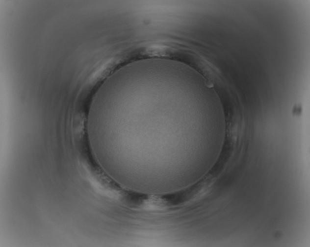 X0000113330603200909211222