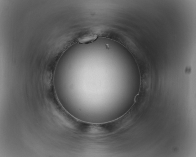 X0000113330605200909211222
