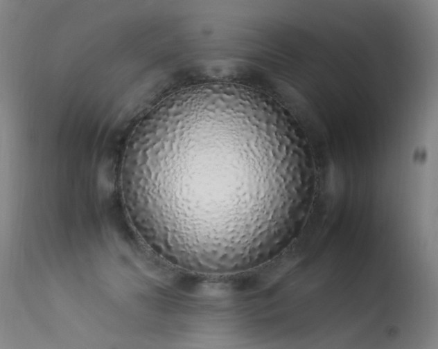 X0000113330606200909211221