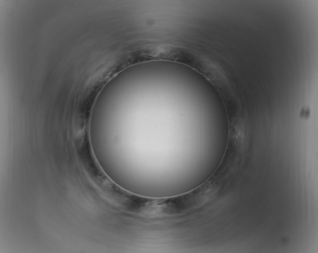 X0000113330607200909211221