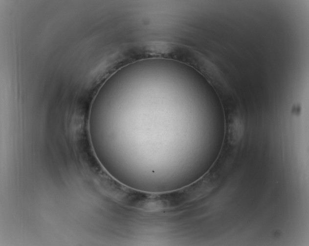 X0000113330608200909211221