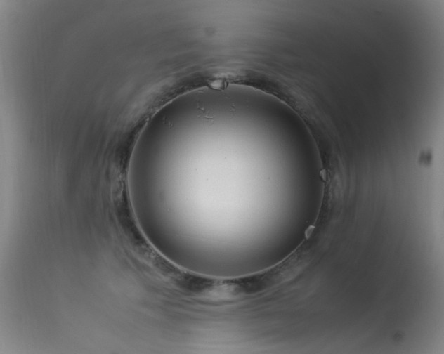 X0000113330609200909211221