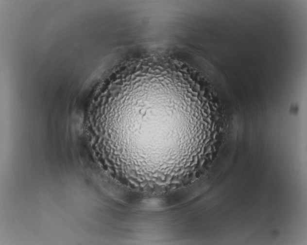 X0000113330610200909211221