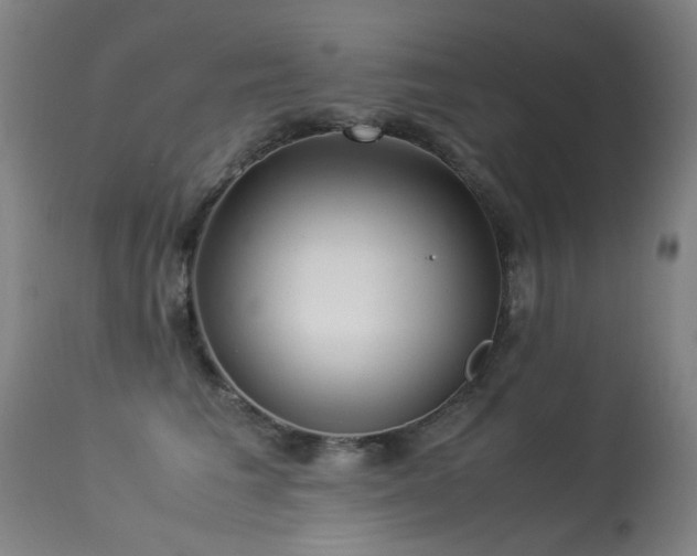 X0000113330613200909211221