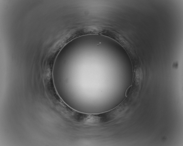 X0000113330617200909211221