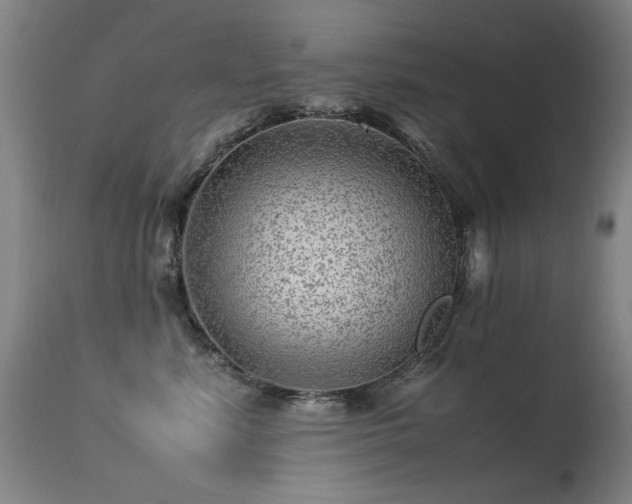 X0000113330619200909211221