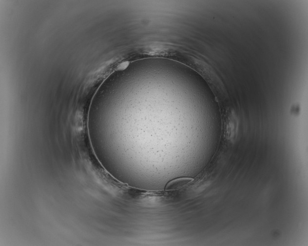 X0000113330620200909211221