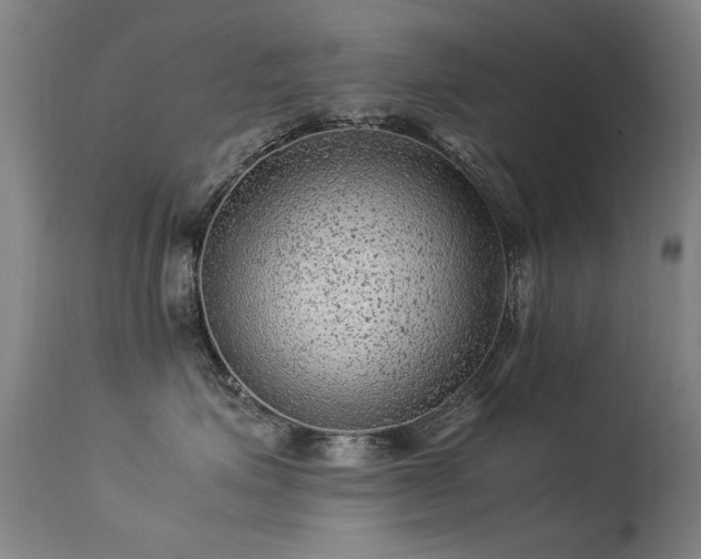 X0000113330623200909211221