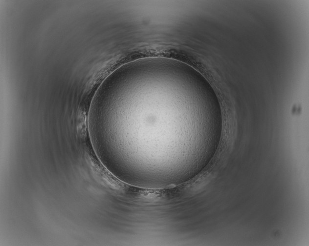 X0000113330624200909211221