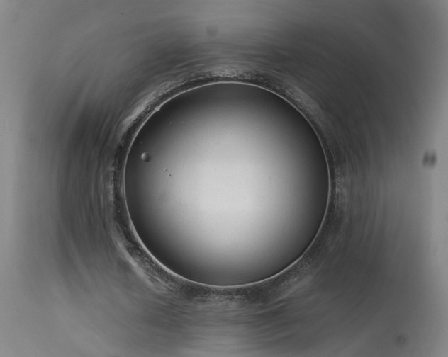 X0000113330626200909211221
