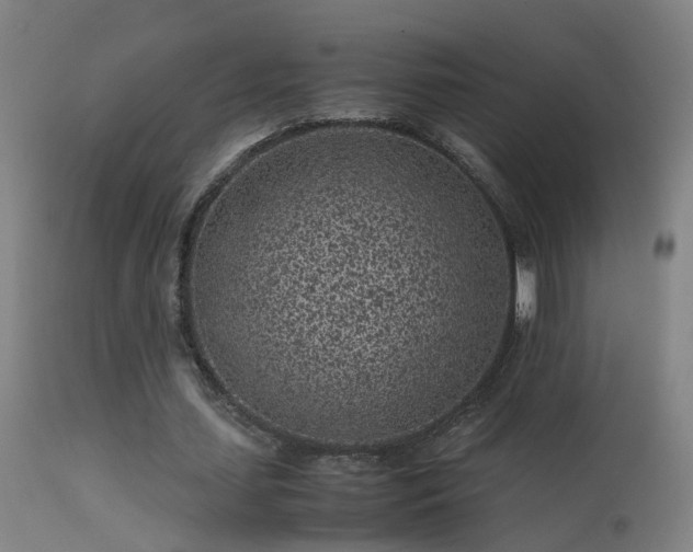 X0000113330627200909211221