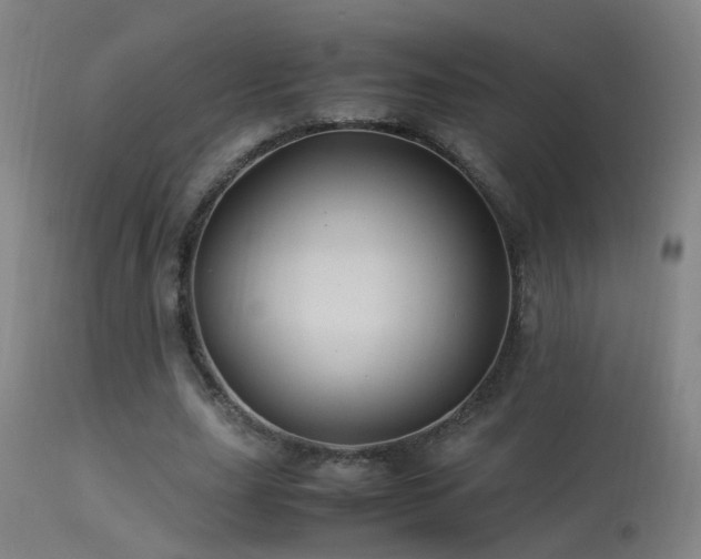 X0000113330631200909211221
