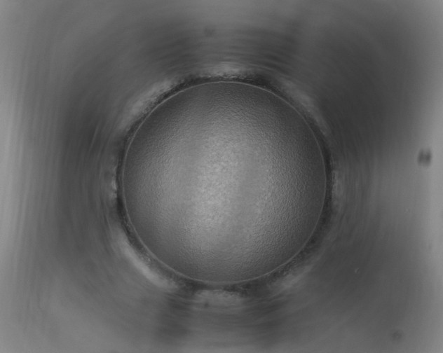 X0000113330633200909211221