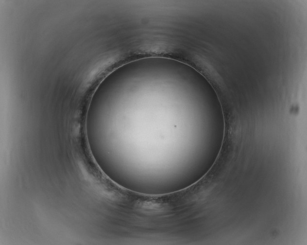 X0000113330635200909211221