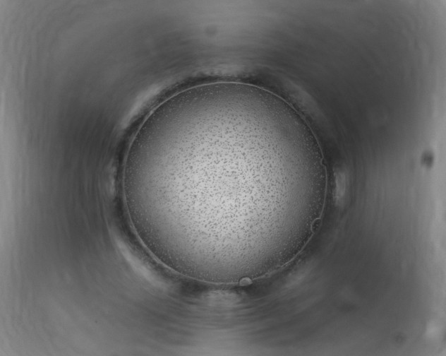 X0000113330636200909211221