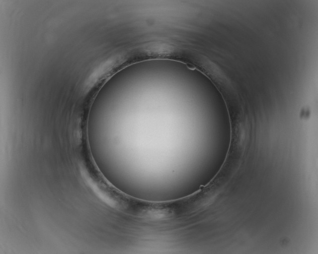X0000113330638200909211221
