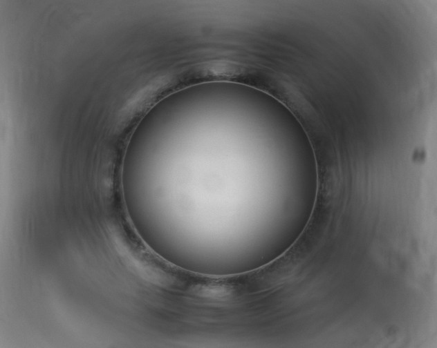 X0000113330639200909211221