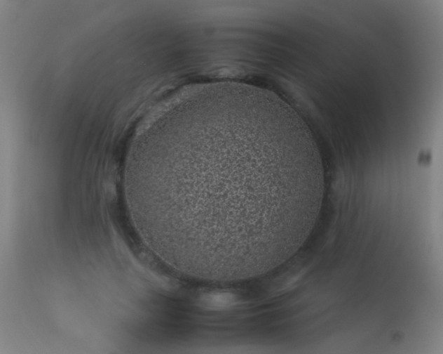 X0000113330643200909211221