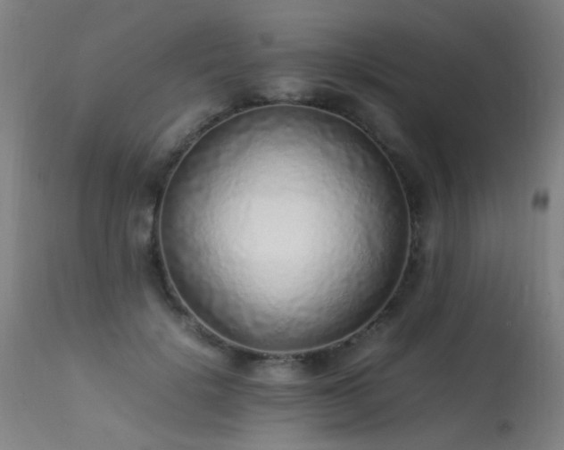 X0000113330652200909211221