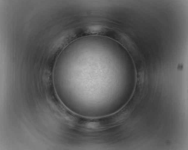 X0000113330653200909211221