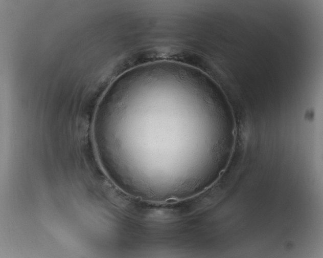 X0000113330657200909211221