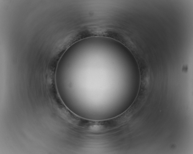 X0000113330658200909211221