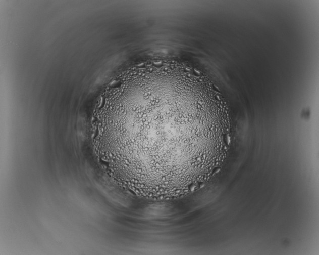 X0000113330659200909211221