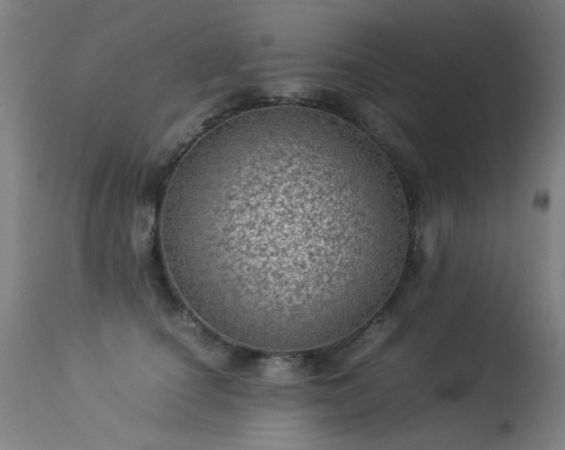 X0000113330660200909211221