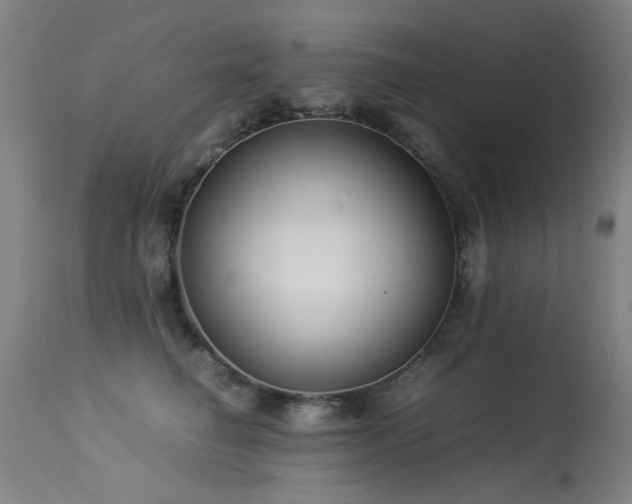 X0000113330662200909211221
