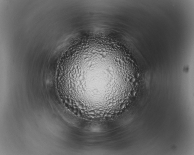 X0000113330663200909211221