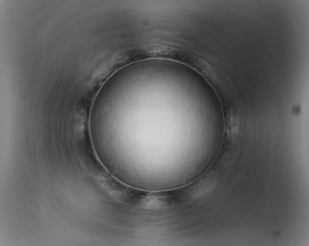 X0000113330664200909211221