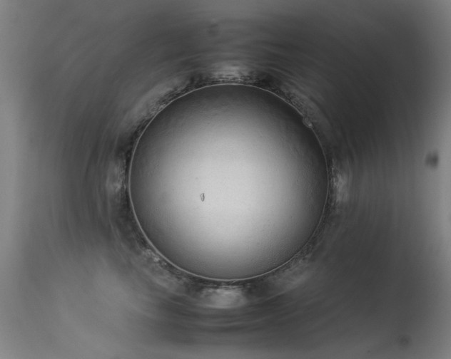 X0000113330665200909211221