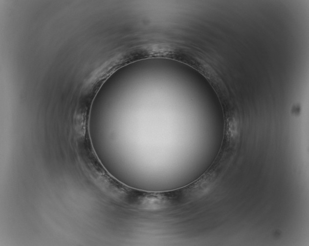 X0000113330666200909211221