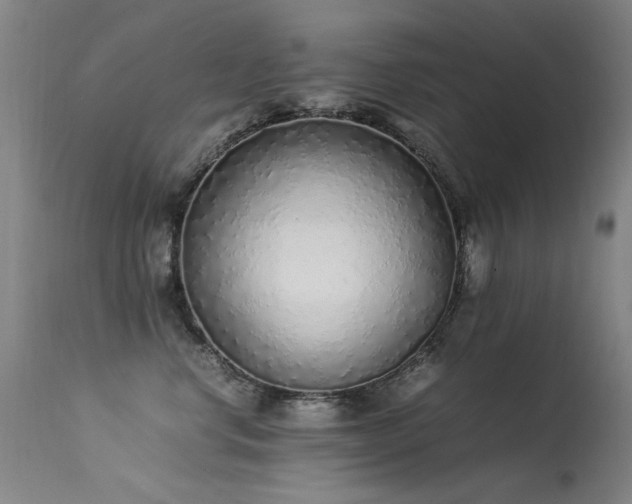 X0000113330668200909211221