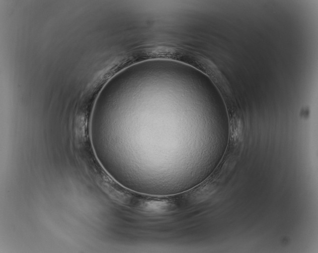 X0000113330669200909211221