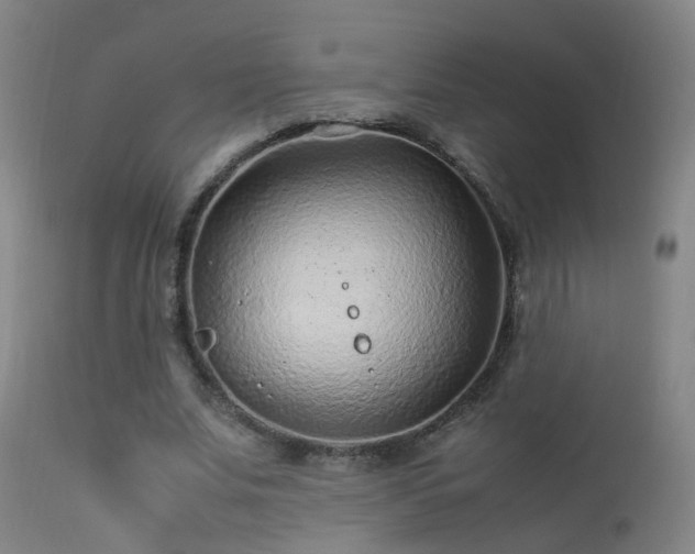 X0000113330679200909211220