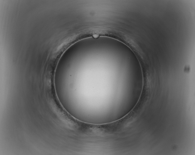X0000113330681200909211220